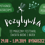 Magiczny Festiwal Świata Baśni i Bajek POZYTYWKA